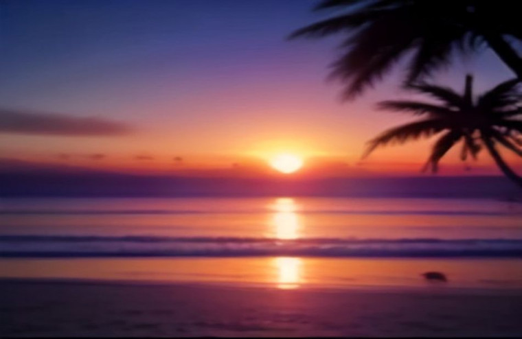 Palm Tree Sunset AI Wallpaper