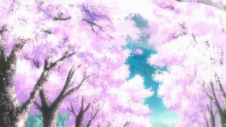 [41+] Anime Cherry Blossom Wallpaper on WallpaperSafari