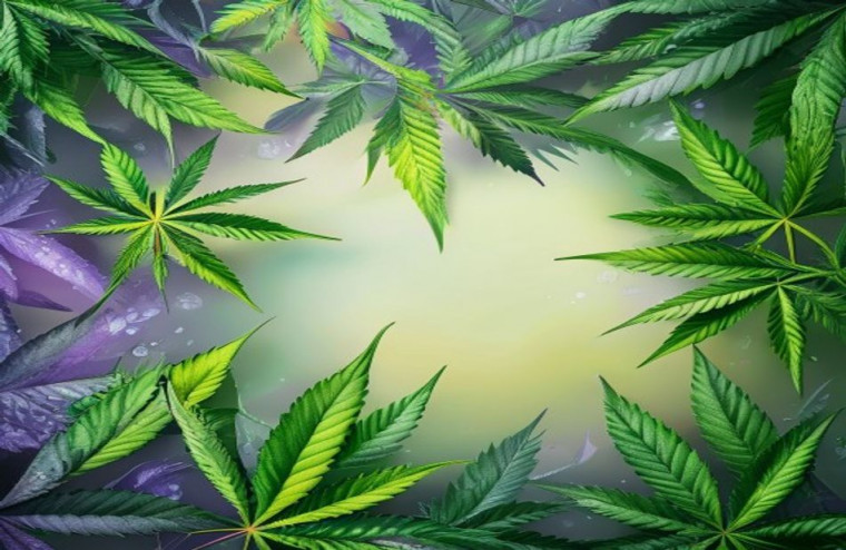 Marijuana AI Wallpaper And Screensavers