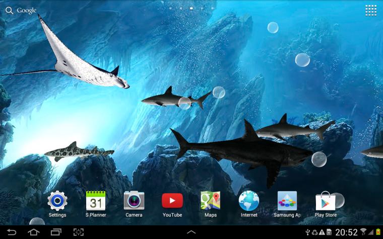 shark downloader mp3 shark downloader mp3