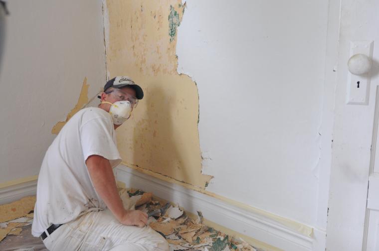 Free download Decorative Vinyl Floor Remove Old Wallpaper Stripper