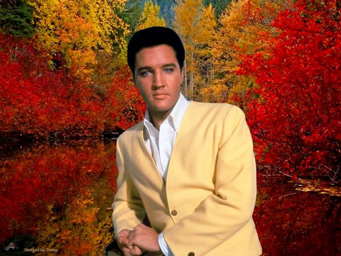 Free Download Elvis Presley Tcb Ring Image Search Results [582x776] For ...