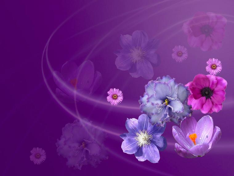 Free download Pink And Purple Flower Backgrounds [1280x1024] for your ...