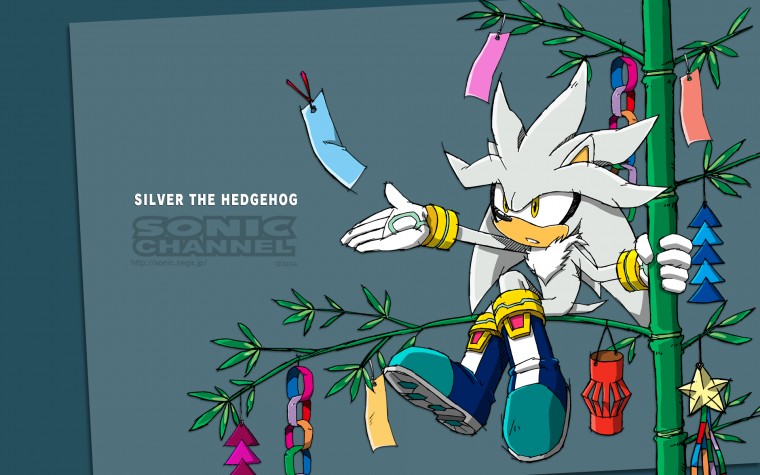 Free download Silver The Hedgehog Wallpaper by SonicTheHedgehogBG
