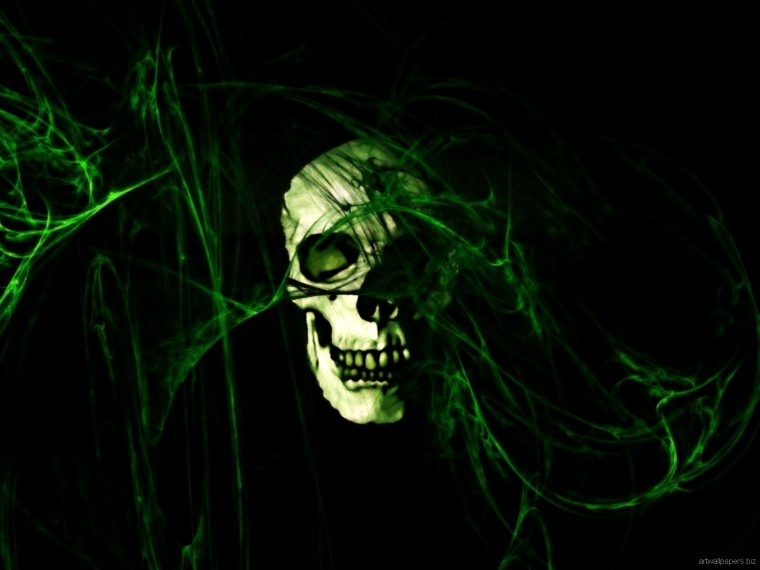 Free download Skull Wallpapers Skull Art Wallpapers Skull Desktop ...