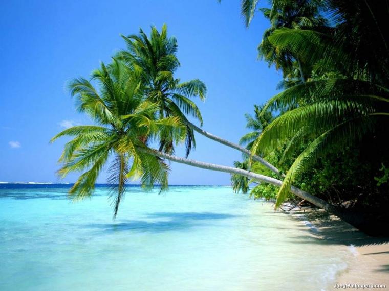 Free Download Tropical Beach Paradise Hd Desktop Wallpapers 4k Hd