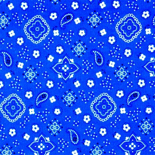 Free download Blue Bandana Print Blue bandana [500x500] for your
