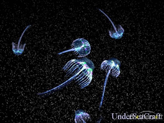 Free download Animated Moving Jellyfish Animated gifs [640x360] for