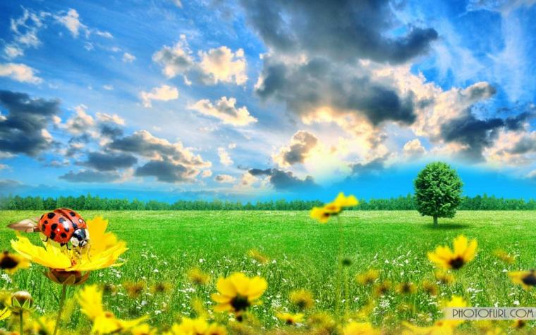 🔥 50 Sun Shining Wallpapers WallpaperSafari 🔥 50 Sun Shining Wallpapers WallpaperSafari