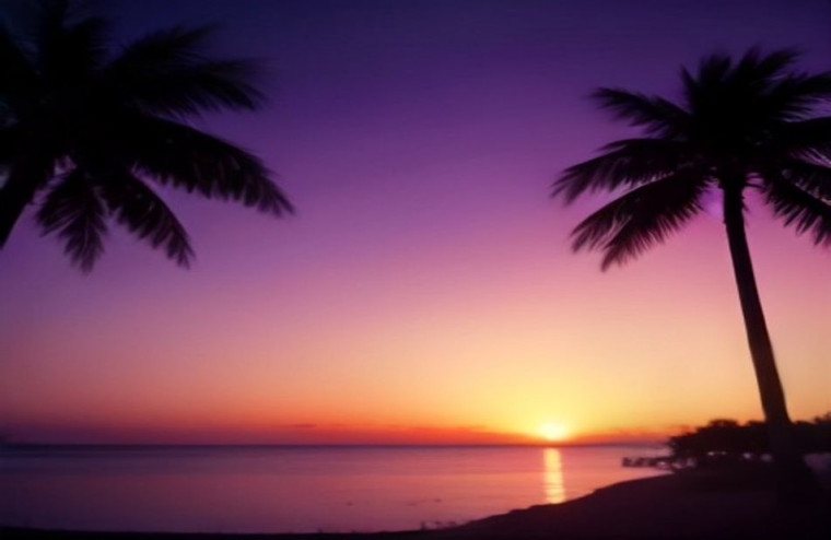 Palm Tree Sunset AI Wallpaper