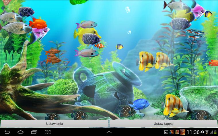 49 Free Live Fish Aquarium Wallpaper On Wallpapersafari