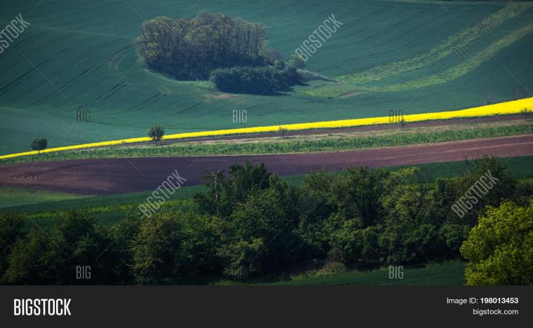 Free Download 500 Agriculture Pictures Download Images On Unsplash