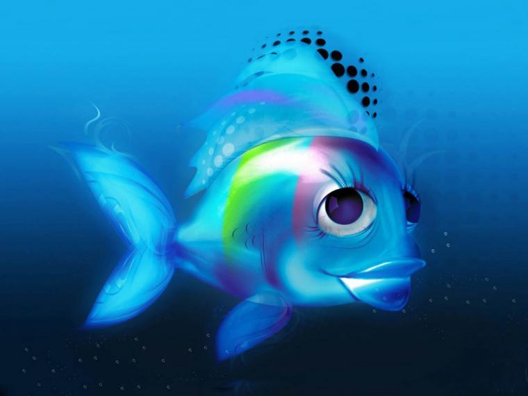 Free download Fish Wallpapers wallpaper rock beautyfish widescreen