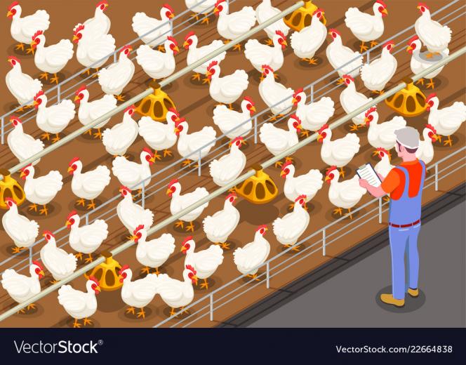 free-download-chicken-manufacturing-farm-backgrounds-for-powerpoint