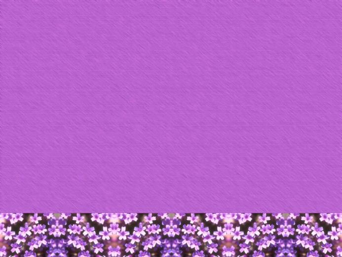 Free download Lavender Flower Garden Set Wallpaper Border [500x500] for