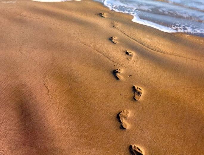 Free download sprayer Belt sander Square palm sander Wallpaper