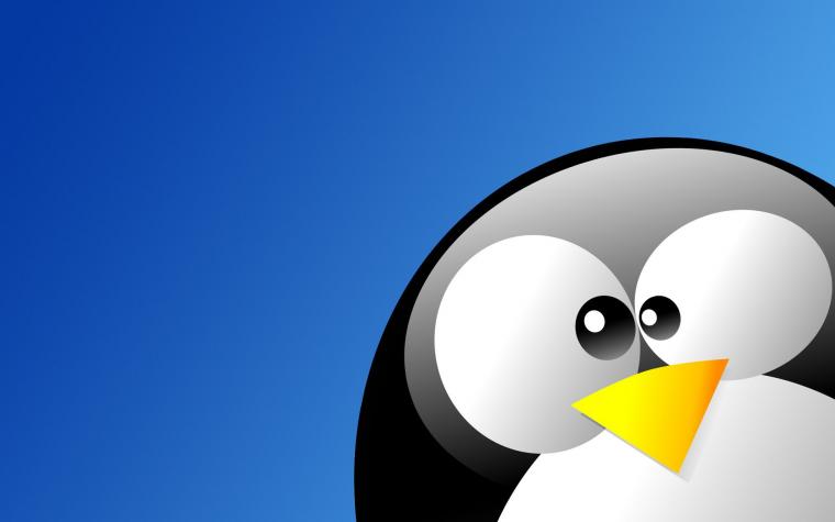 Free download 65 Linux Tux Wallpapers on WallpaperPlay [1920x1200] for ... Cute Winter Penguin Wallpaper