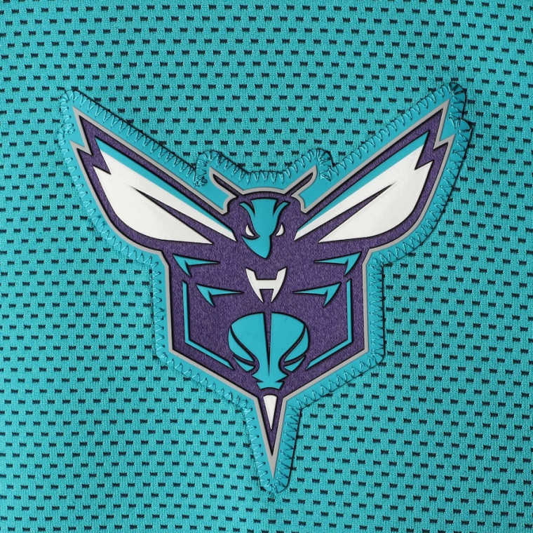 charlotte hornets jordan therma flex showtime