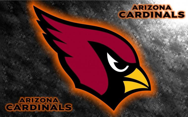 Free download Arizona Cardinals Wallpaper Snap Wallpapers [1024x576