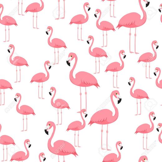 Free download Pink on pink flamingos Wallpapers Flamingo wallpaper Pink