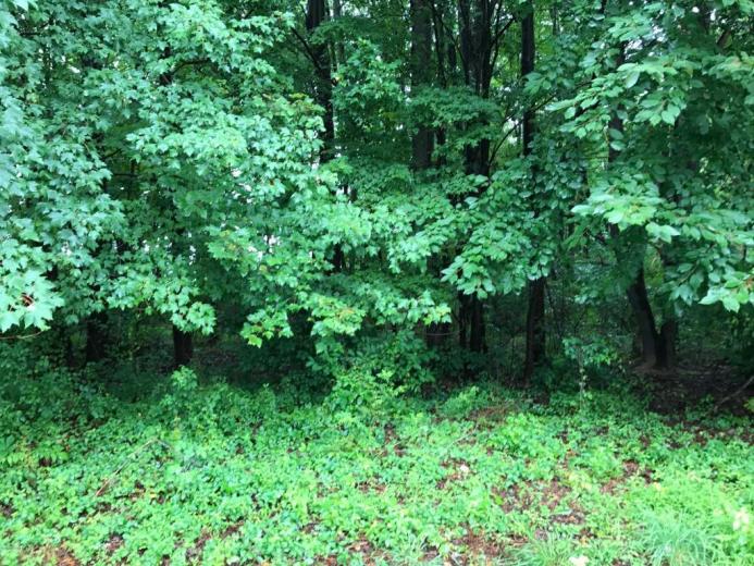 Free download 2019 Kawasaki KLX140L for sale in Bloomsburg PA Bloomsburg [1600x1200] for your