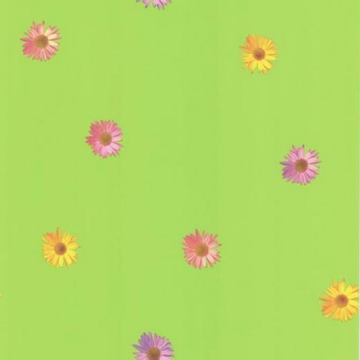 Free download 3D Gerber Daisies Wall Stickers Stickers For Wallcom