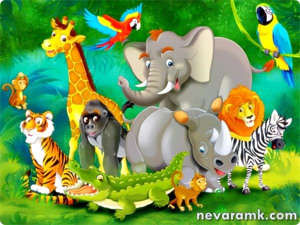 [48+] Jungle Theme Wallpaper for Kids on WallpaperSafari