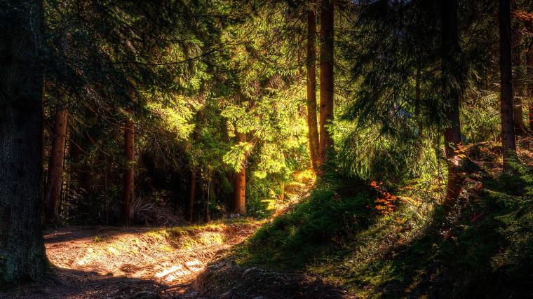 Free download Lonely Snowy Road Cool Nature Wallpapers Amazing