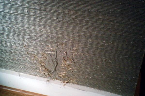 Free download Houston Jaume Plensa Tolerance installation [608x404] for