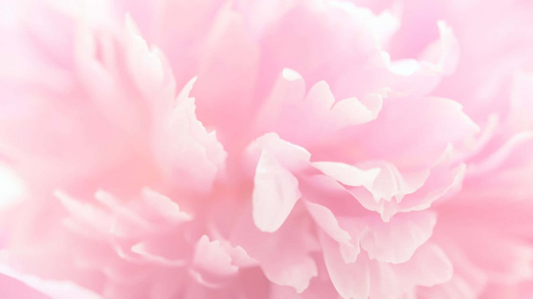 🔥 [60+] Aesthetic Pink Desktop Wallpapers | WallpaperSafari