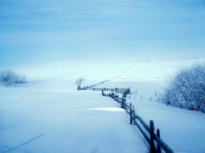 Free download Difference Between Rich and Poor Wallpapers pictures