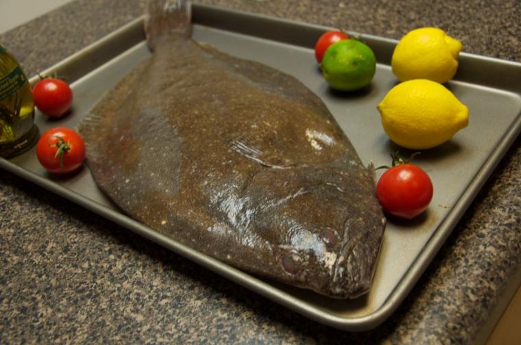 Free download Halibut Wallpapers High Quality Download [5159x3439] for