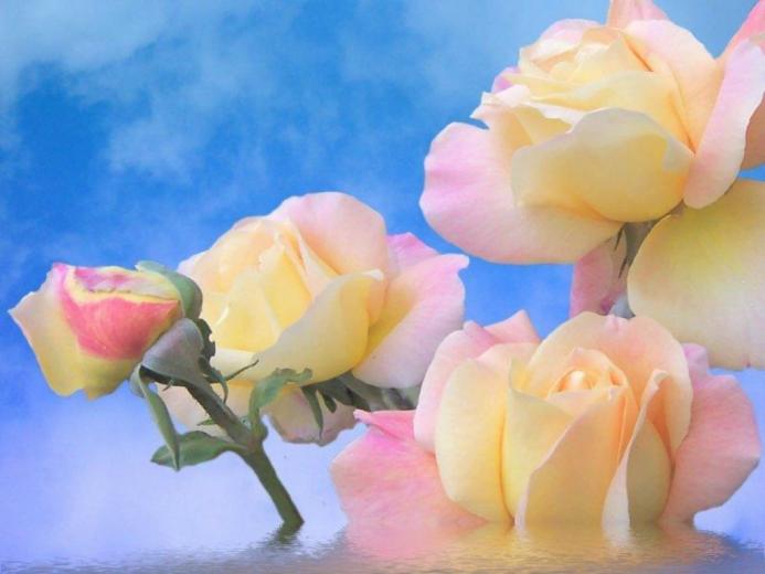 Free download Pink and yellow wallpaper by ghoulskout [1024x768] for your Desktop, Mobile