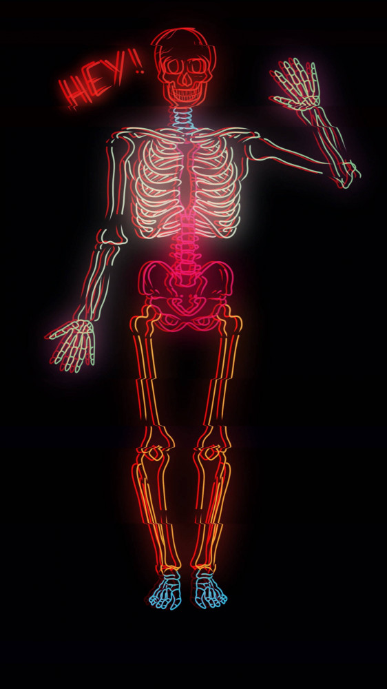 🔥 [70+] Skeleton Aesthetic Wallpapers WallpaperSafari