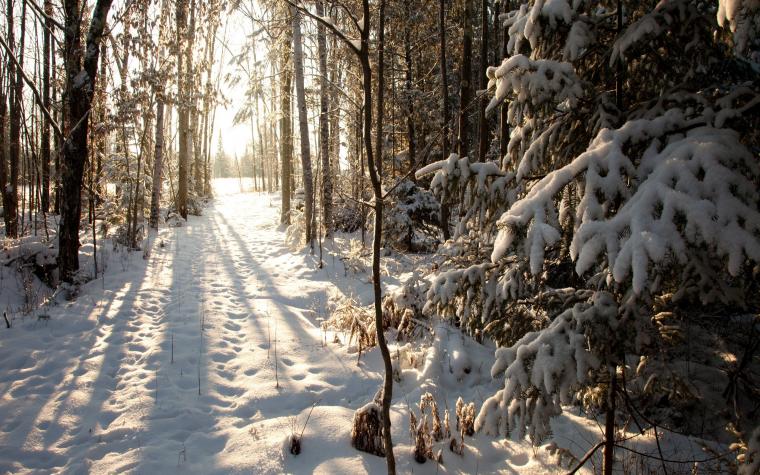 🔥 [50+] Wisconsin Winter Wallpapers | WallpaperSafari