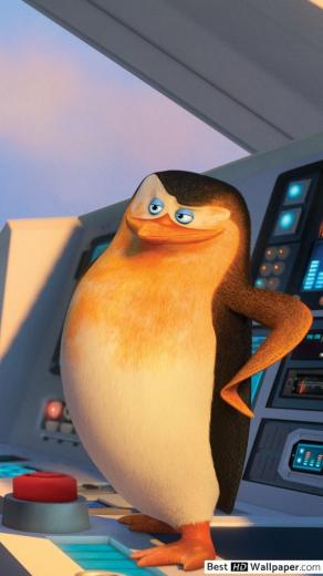 Free download Penguins of Madagascar The wolf and Skipper HD wallpaper ...