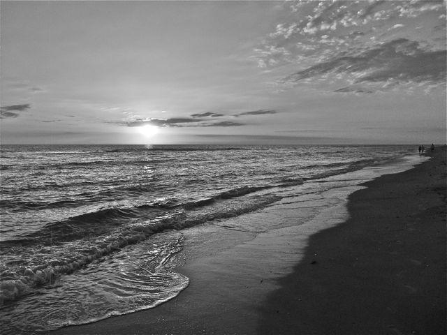 Free download Best Wallpaper Photography Black And White black and white beach [640x480] for