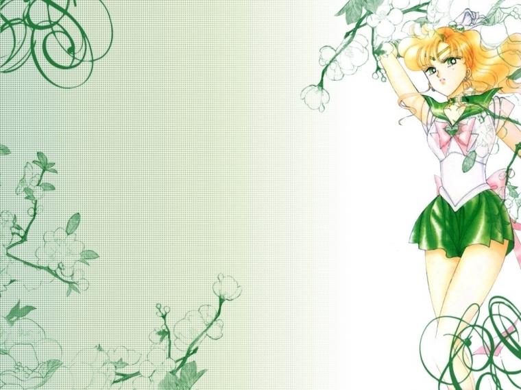 🔥 [80+] Sailor Jupiter Wallpapers | WallpaperSafari