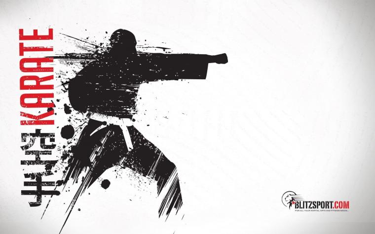 Free download Karate Wallpapers [1024x768] for your Desktop, Mobile
