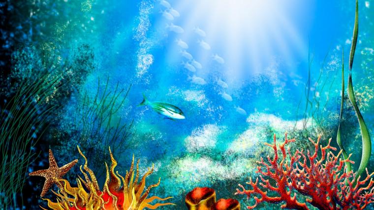 🔥 Free Download Image Fish Aquarium Desktop Animated Wallpaper Pc ...