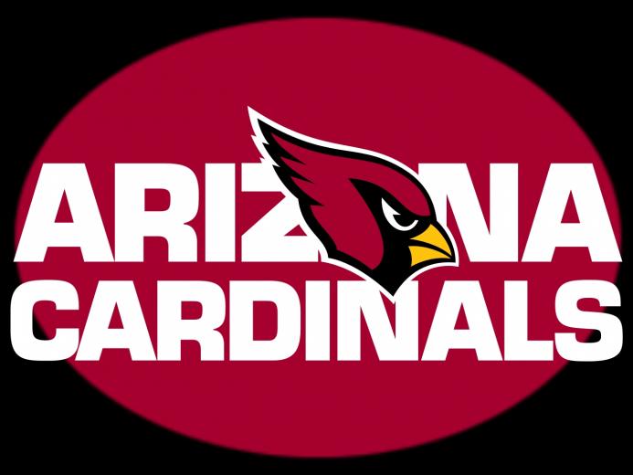 Free download Arizona Cardinals 2014 NFL Logo Wallpaper [2560x1600] for ...