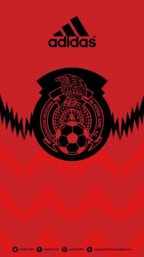 Free download Mexican Soccer Team Wallpaper [1024x768] for your Desktop