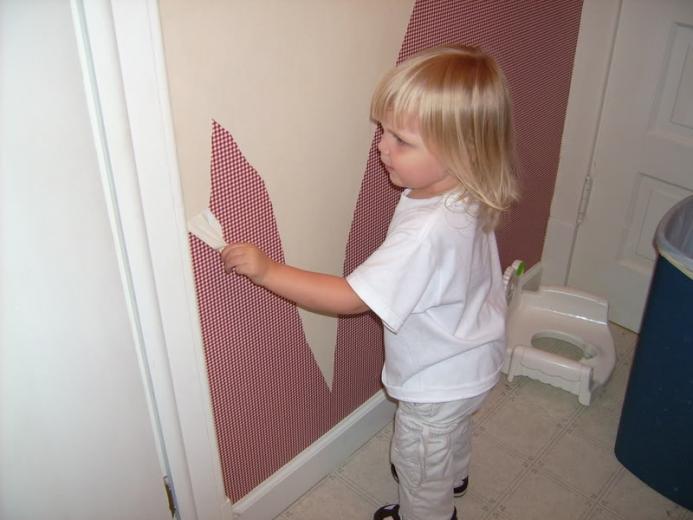 Free download Taking down wallpaper Flickr Photo Sharing [375x500] for