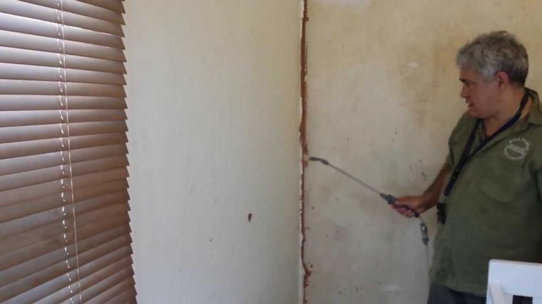 Free Download How To Remove Vinyl Wallpaper Removing Vinyl Wallpaper Is More 450x601 For Your 