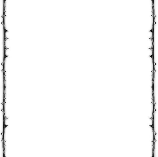 Free download white wallpaper border 2015 Grasscloth Wallpaper