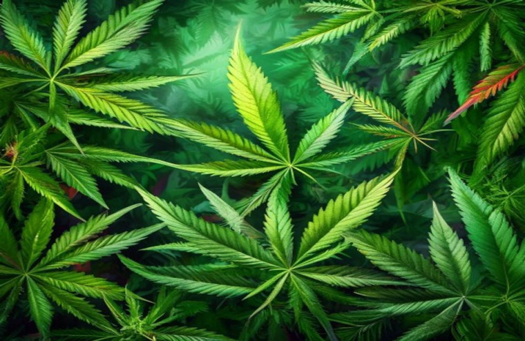 HD Weed AI Wallpaper 1080p