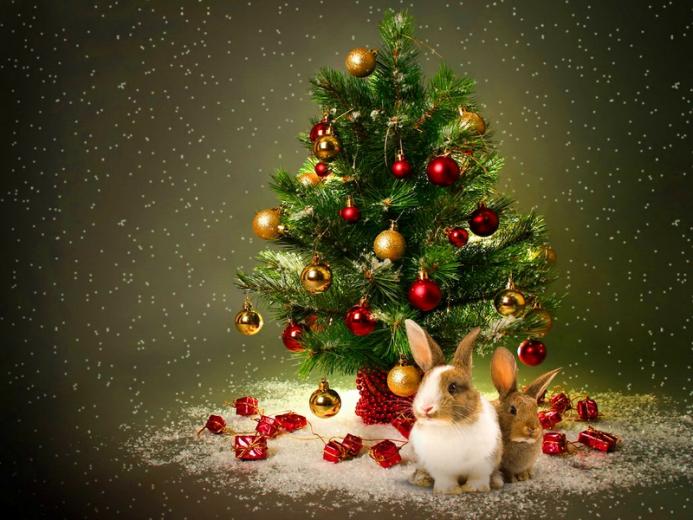 [45+] Christmas Bunny Wallpaper on WallpaperSafari