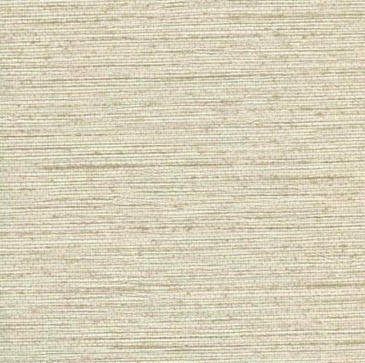 Free download Blue Seagrass YBT44072 Texture Wallpaper Textures