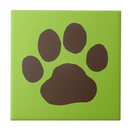 Free download Dog Paw Print Background animalgals [800x800] for your Desktop, Mobile & Tablet