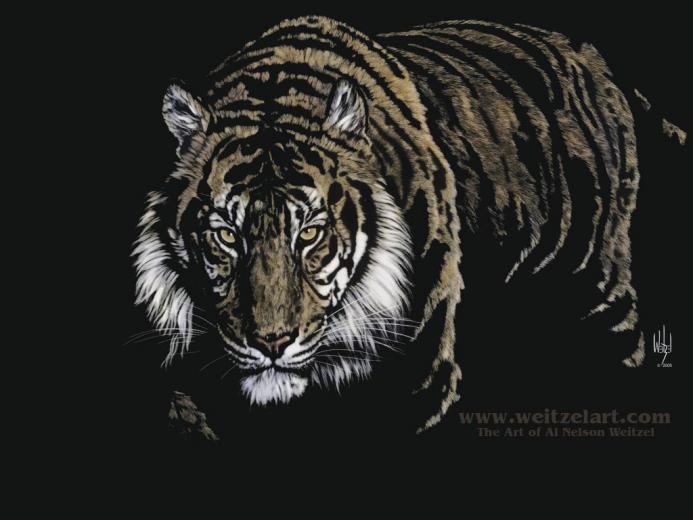 Free download Futur Tiger HD Wallpapers [640x400] for your Desktop